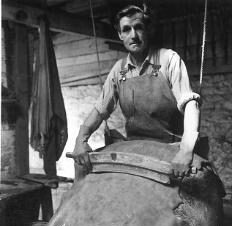 Scraping the cattle hides – the first stage of the tanning process