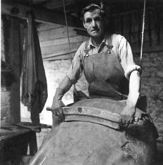 Scraping the cattle hides – the first stage of the tanning process